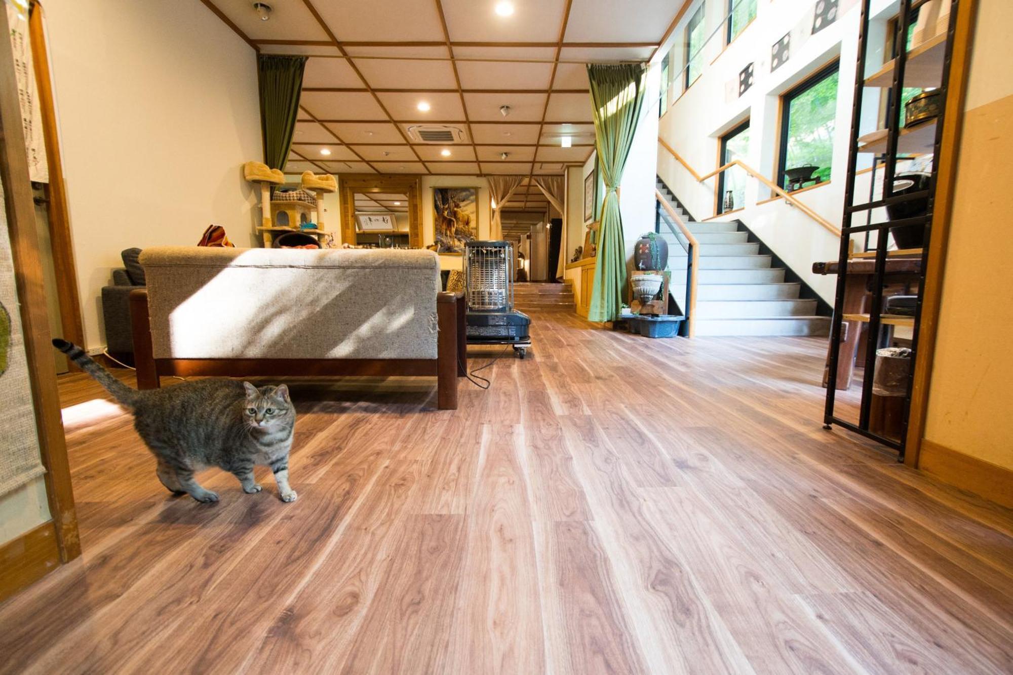 Akasawa Onsen Ryokan ناسوشيوبارا المظهر الخارجي الصورة