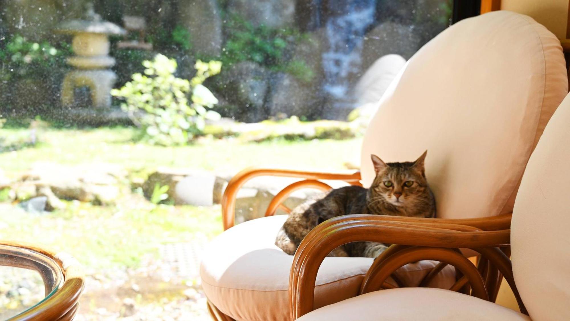 Akasawa Onsen Ryokan ناسوشيوبارا المظهر الخارجي الصورة